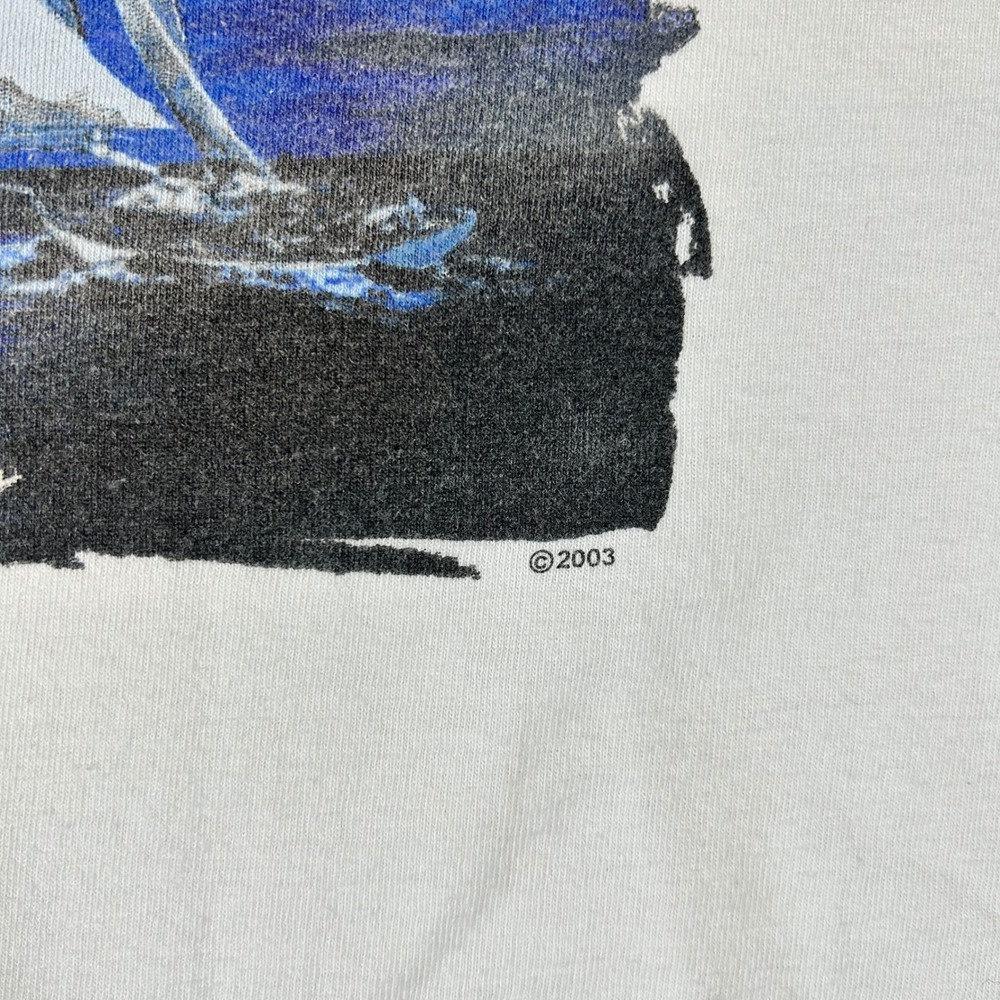 Vintage Speedo Mens White Graphic Shirt Surf Tropical Graphic Tee Size 3XL 2003 - Picture 6 of 8